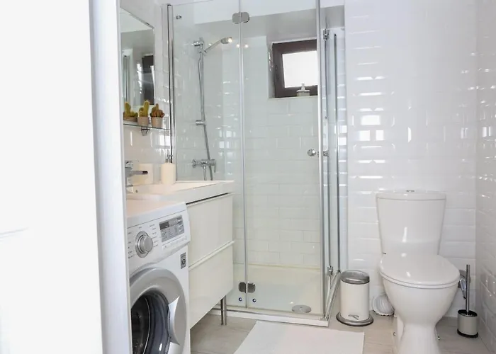 Diana's Flat-bucharest - Old アパート